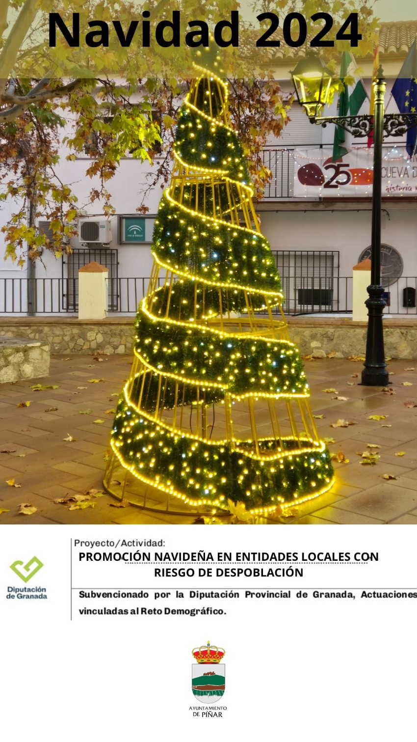 Nuestro municipio recibió una subvención de la Diputación de Granada para la promoción navideña. Campaña 2024/2025