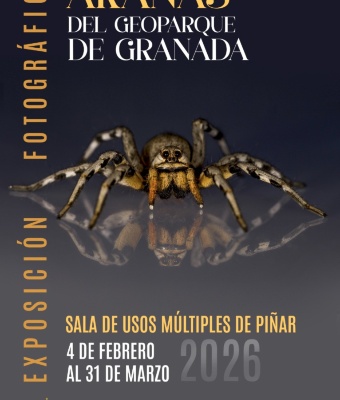 Exposicion de fotografias de arañas. Dentro del Ayuntamiento de Píñar (Recepción Cueva de las Ventanas)